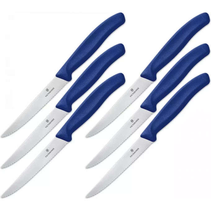 Набор ножей VICTORINOX SWISSCLASSIC 6.7232.6